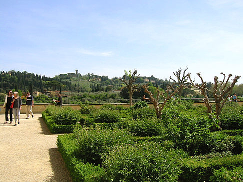 Im Garten des Palazzo Pitti Foto 