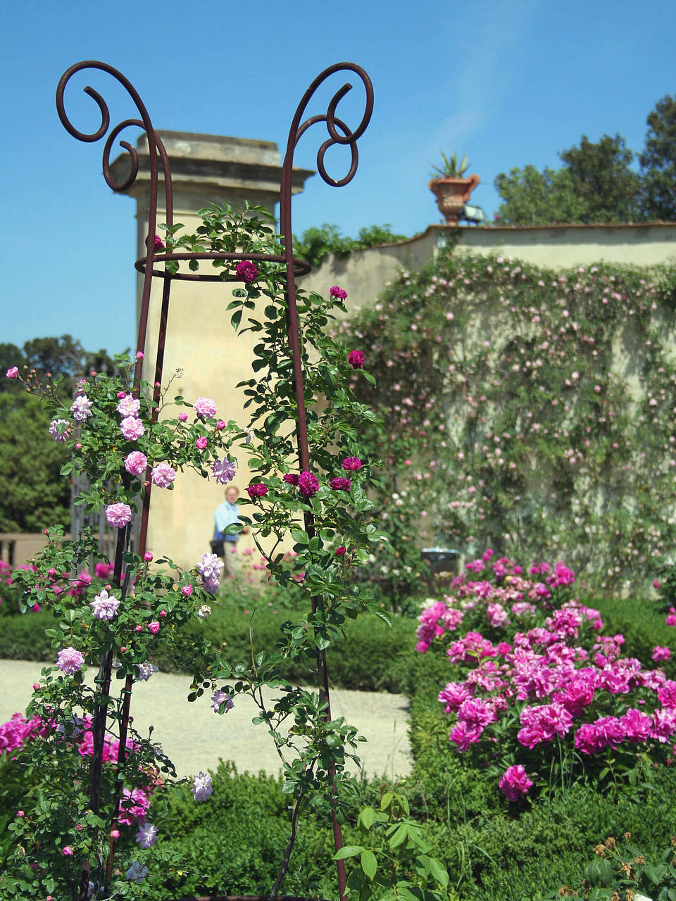 Giardino di Boboli Bild von Citysam  