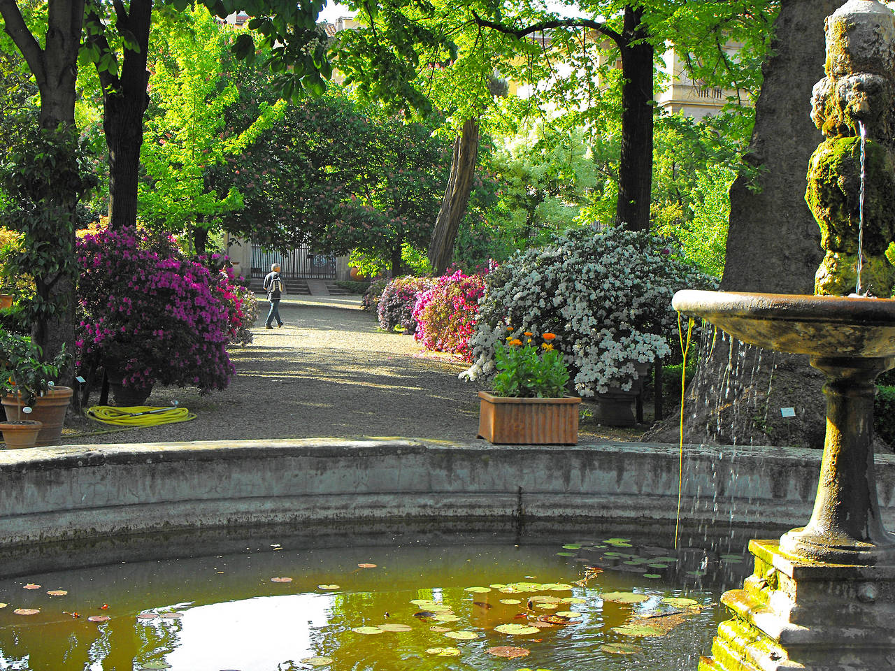 Giardino dei Semplici Foto 